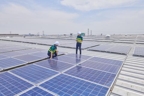 solar panels